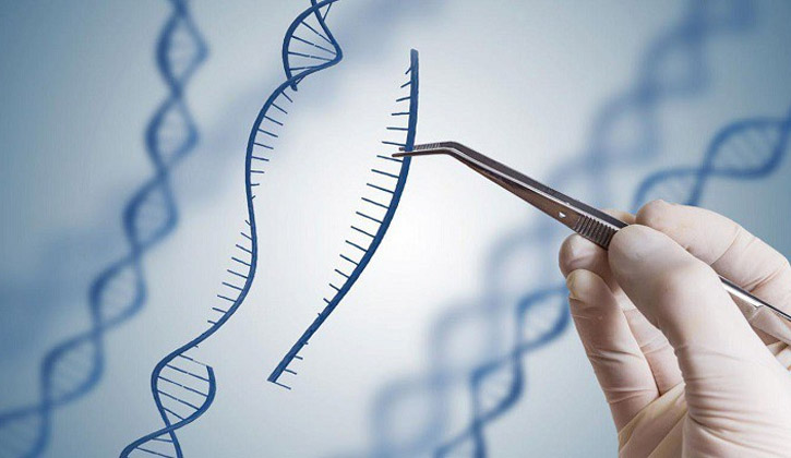 Xét nghiệm ADN là quá trình phân tích hệ gen của hai hay nhiều người