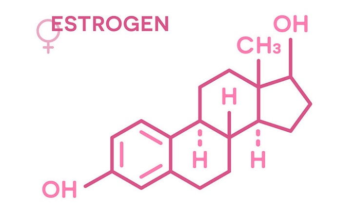Estrogen là hormone vô cùng quan trọng với chị em phụ nữ, quyết định sức khỏe, sắc đẹp và thiên chức làm mẹ của họ