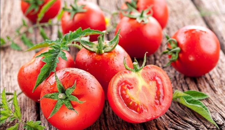 Cà chua là một trong những nguyên liệu có khả năng dưỡng sáng, trị sạm da hàng đầu