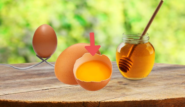 mật ong và lòng đỏ trứng gà giúp người bị đau dạ dày tăng cường sức khỏe