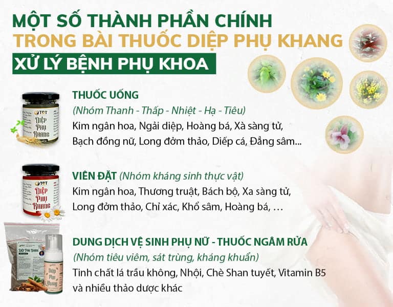 Các nhóm thảo dược có trong từng chế phẩm Diệp Phụ Khang